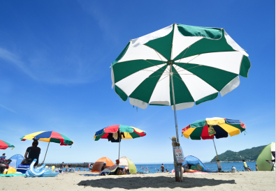 海水浴場安全管理業務水辺の安全コンサルティング業務